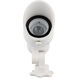 Mini Accent White Low Voltage Accent Light in 3000K Warm White LED, WAC Landscape