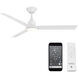 Flair 56.00 inch Indoor Ceiling Fan