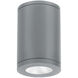 Tube Arch LED 4.88 inch Graphite Outdoor Flush in Flood, 90, Color Changing