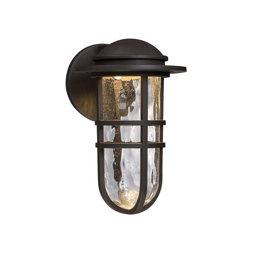 Steampunk LED 12.75 inch Bronze Outdoor Wall Light, dweLED