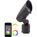 Colorscaping Black Low Voltage Accent Light, Colorscaping