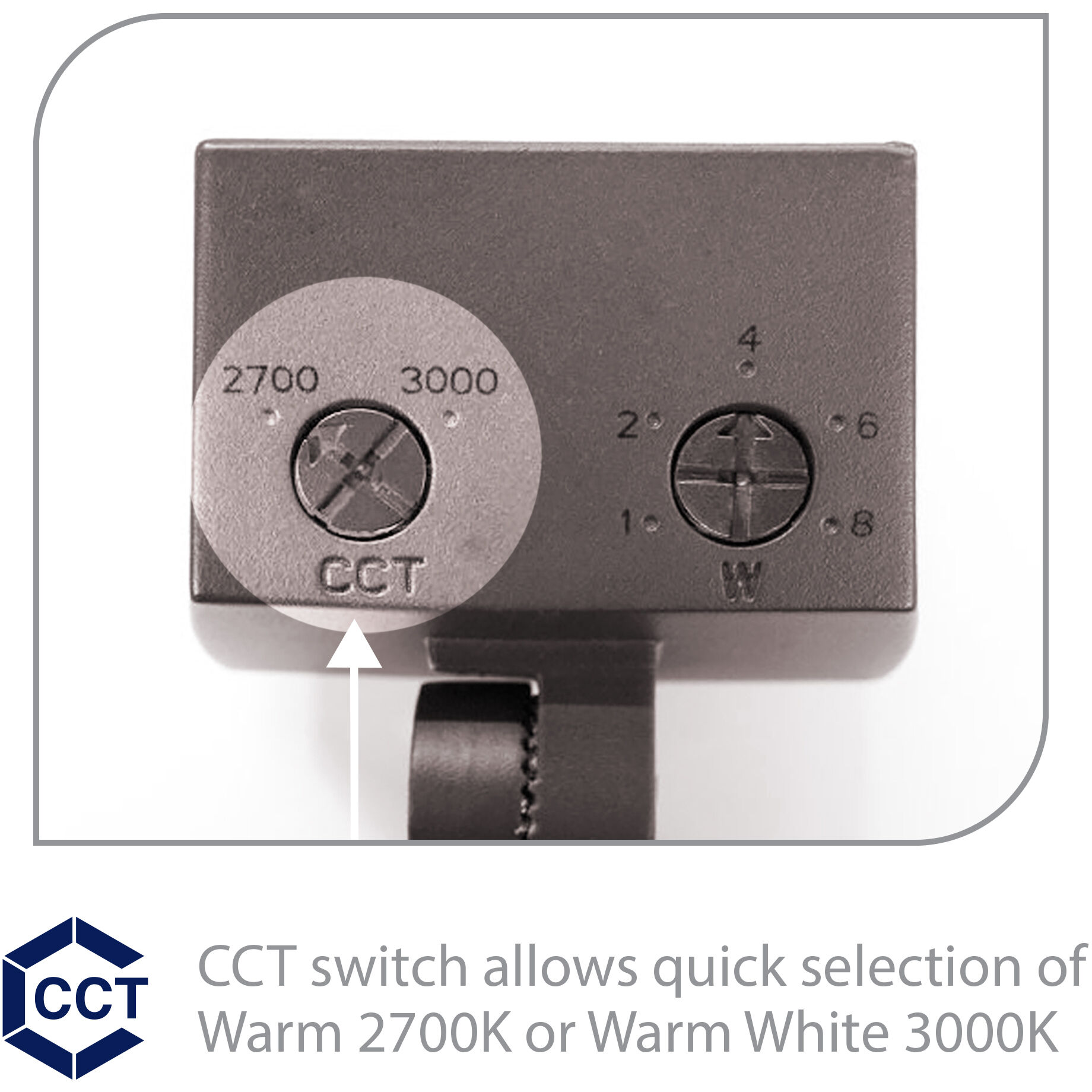 Tyler Bronze 8 watt LED Spot and Flood Lighting, WAC Landscape