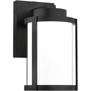 Lantern LED 10 inch Black Outdoor Wall Light