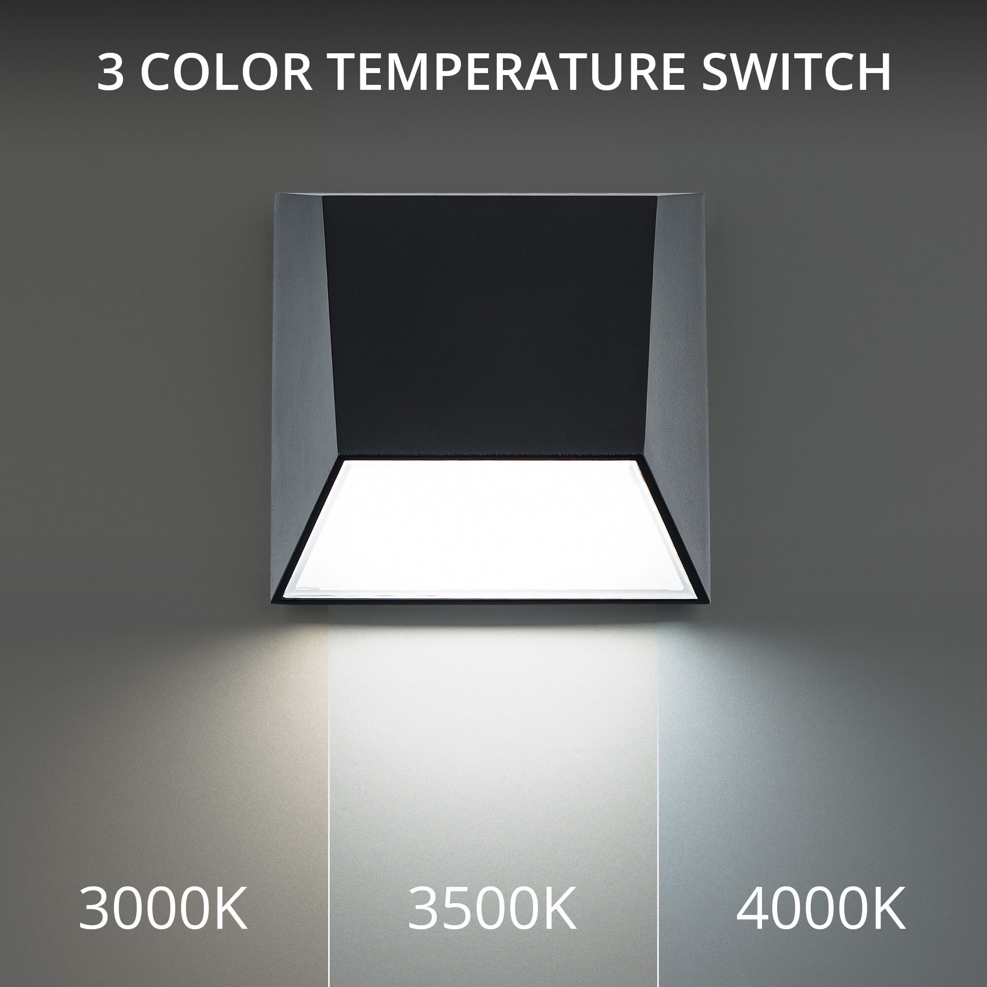 Atlantis LED 6 inch Black Outdoor Wall Light in 3500K, dweLED