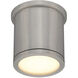 Tube LED 4.5 inch Brushed Aluminum Outdoor Flush