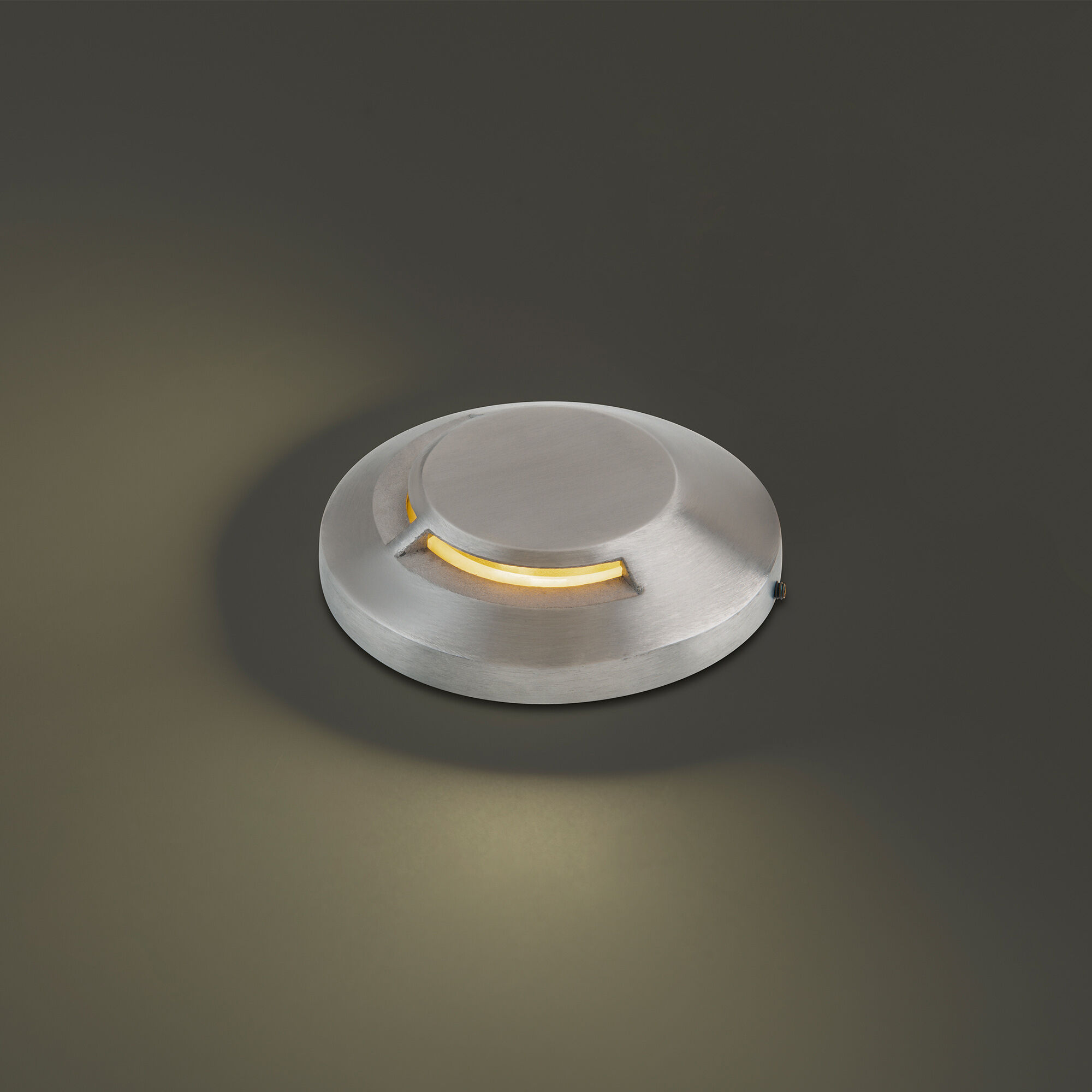 Tyler 12 2.8 watt Stainless Steel Path Lighting in 2700K, WAC Landscape