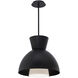 Carafe LED 16 inch Black Pendant Ceiling Light, dweLED