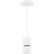 Pedistal LED 6 inch White Pendant Ceiling Light in 2700K, dweLED
