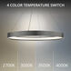 Rounder LED 31.63 inch Distressed Black Pendant Ceiling Light, dweLED