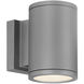 Tube LED 6.5 inch Graphite Outdoor Wall Light