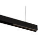 Ventrix 1 Light 48 Black Track Fixtures Ceiling Light