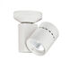 Exterminator II 1 Light 4.50 inch Flush Mount