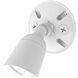 Endurance LED 6.75 inch White Flood Light in 3000K
