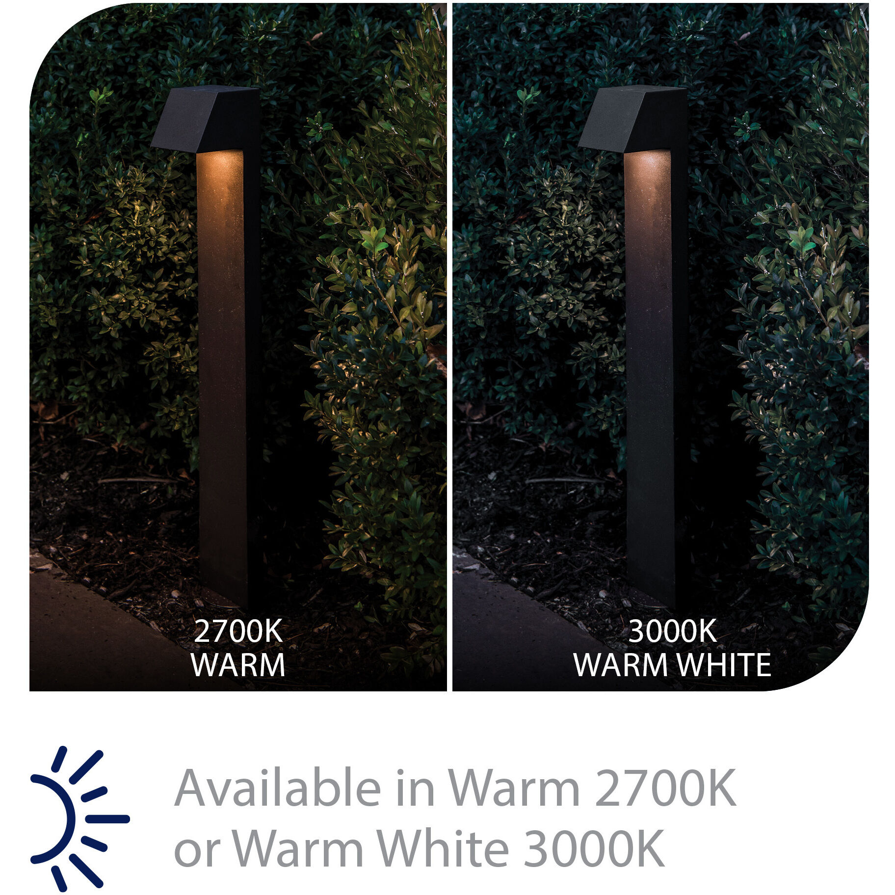 Quad 12 3 watt Bronze Path Lighting in 2700K, Path and Area Light, WAC Landscape