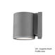 Tube LED 5 inch Graphite Outdoor Wall Light