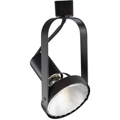 TK-764 1 Light 120 Black H Track Fixture Ceiling Light