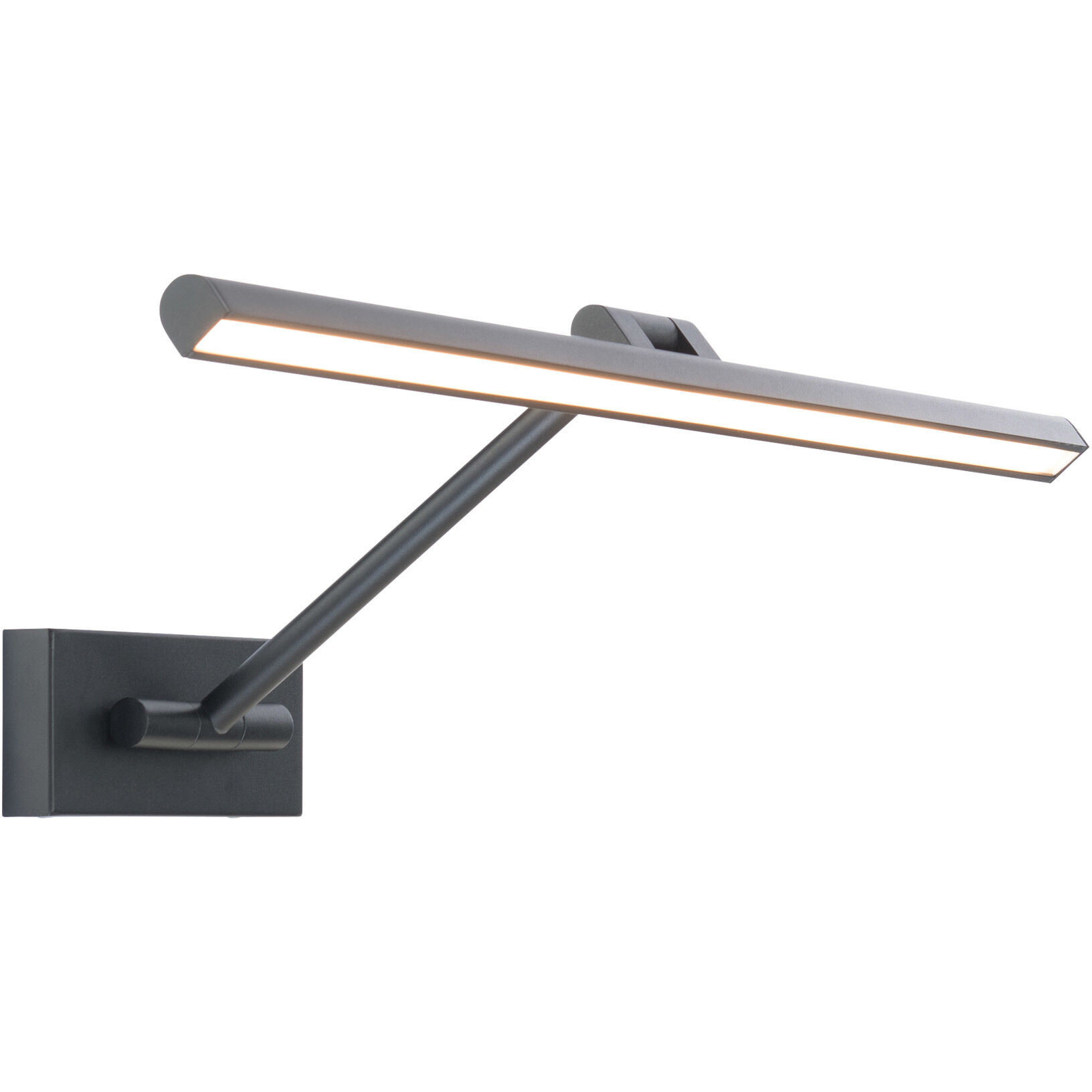 Reed 17.00 watt 24.5 inch Black Picture Light Wall Light, dweLED