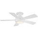 Odyssey 44 inch Matte White Flush Mount Ceiling Fans, Smart Fan