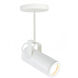 Silo 1 Light 2.73 inch Flush Mount