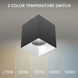 Zoron LED 3.63 inch Black and Haze Outdoor Ceiling Lighting in Black/Haze