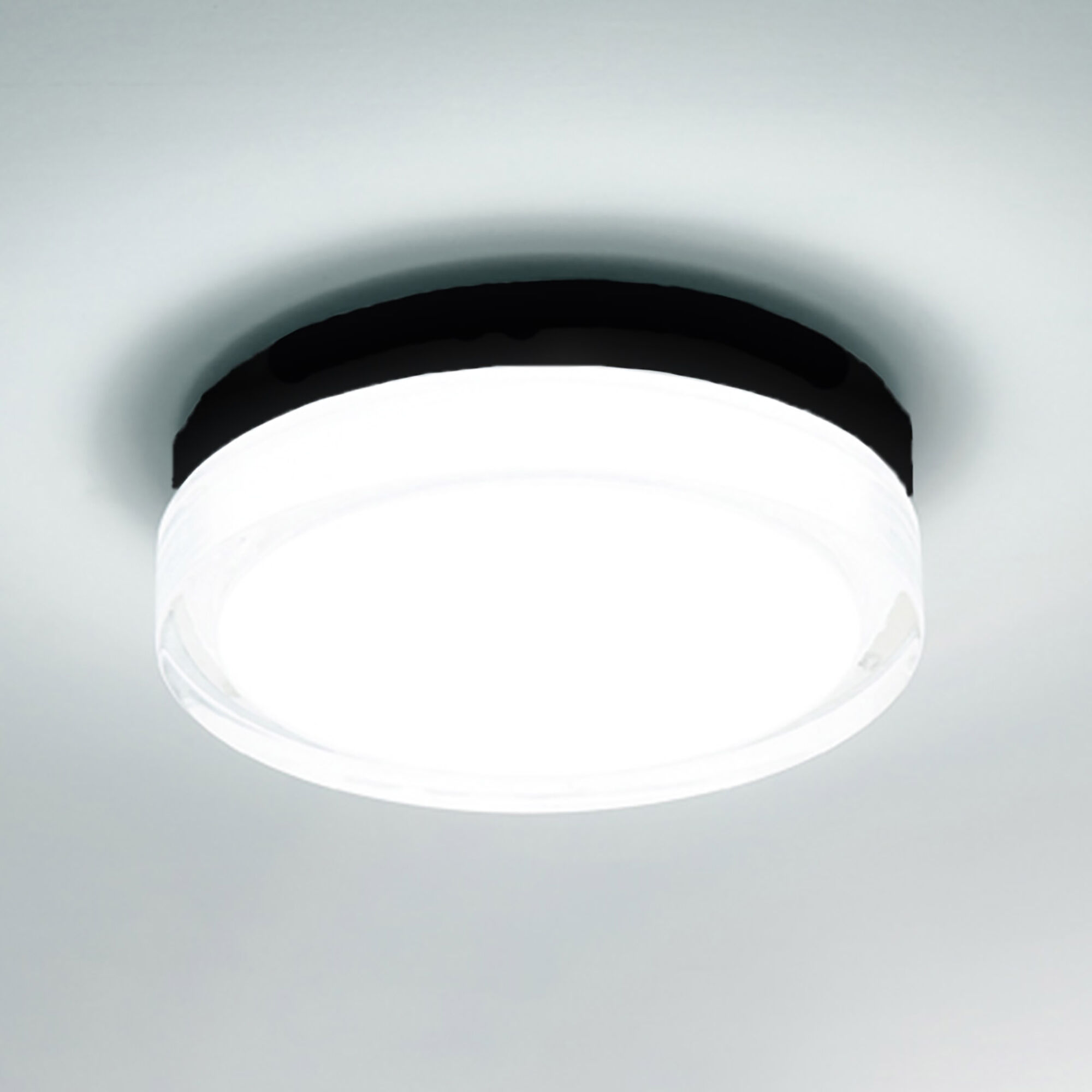 Ceiling dot lights 2025