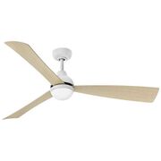 Indoor Ceiling Fans