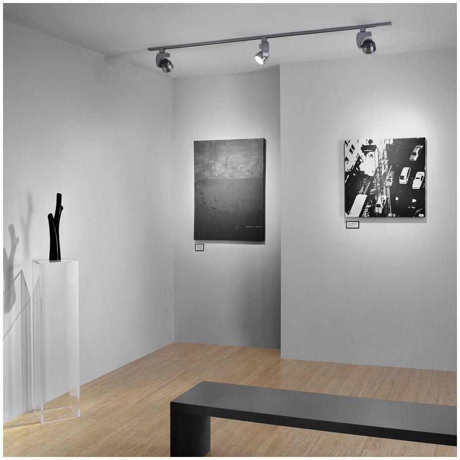 Reflex 1 Light 120 Black Track Head Ceiling Light in 4000K