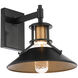 Sleepless LED 11.25 inch Black Aged Brass Outdoor Wall Light, dweLED