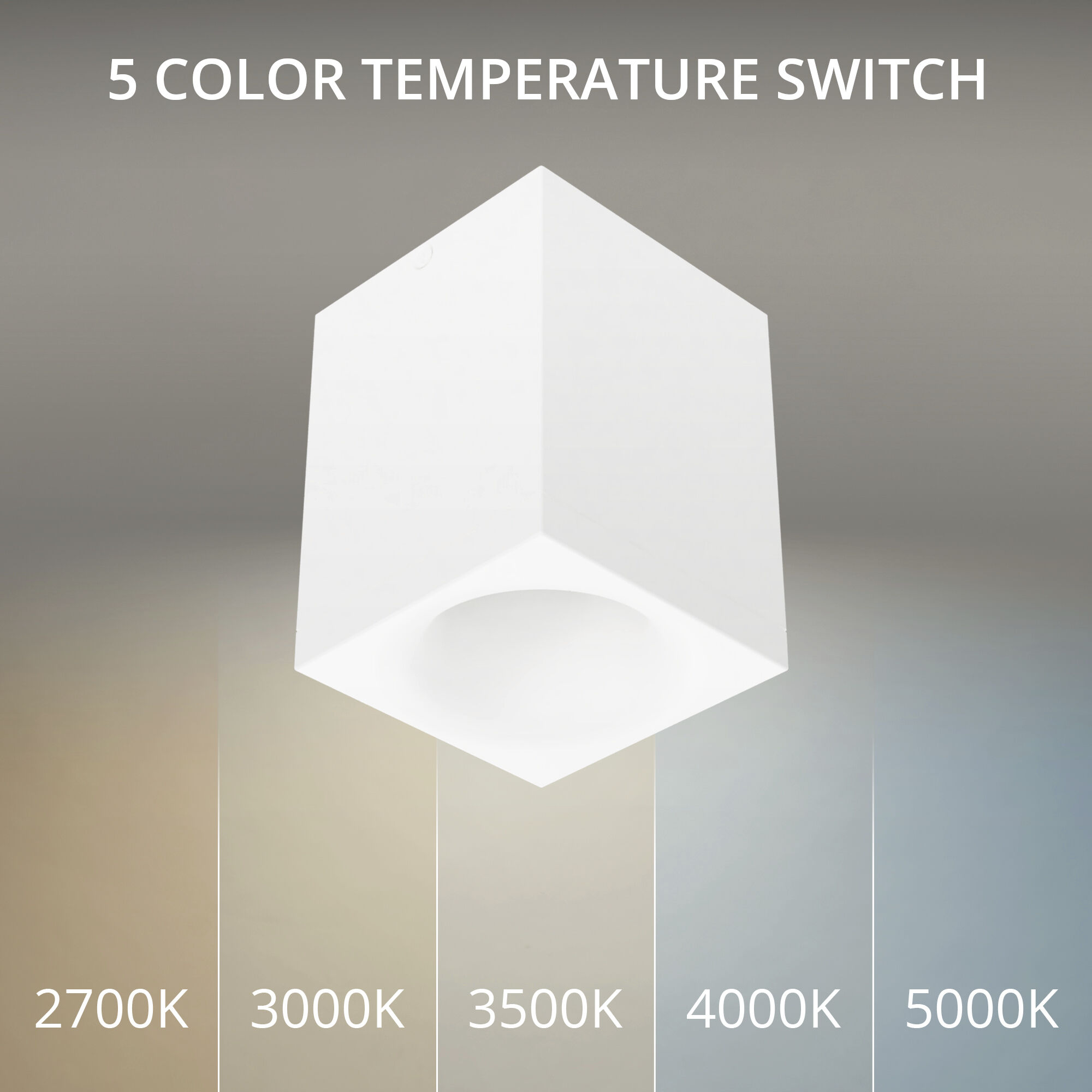 Zoron LED 3.63 inch Arc White Outdoor Ceiling Lighting