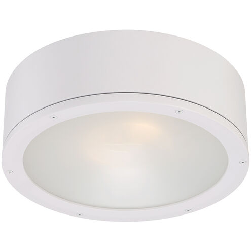 Tube LED 12 inch White Outdoor Flush