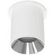 Zoron LED 3.63 inch White and Chrome Outdoor Ceiling Lighting in White/Chrome