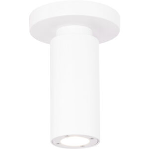 Caliber 1 Light 2.63 inch White Flush Mount Ceiling Light