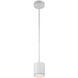 Tube 1 Light 5.00 inch Mini Pendant