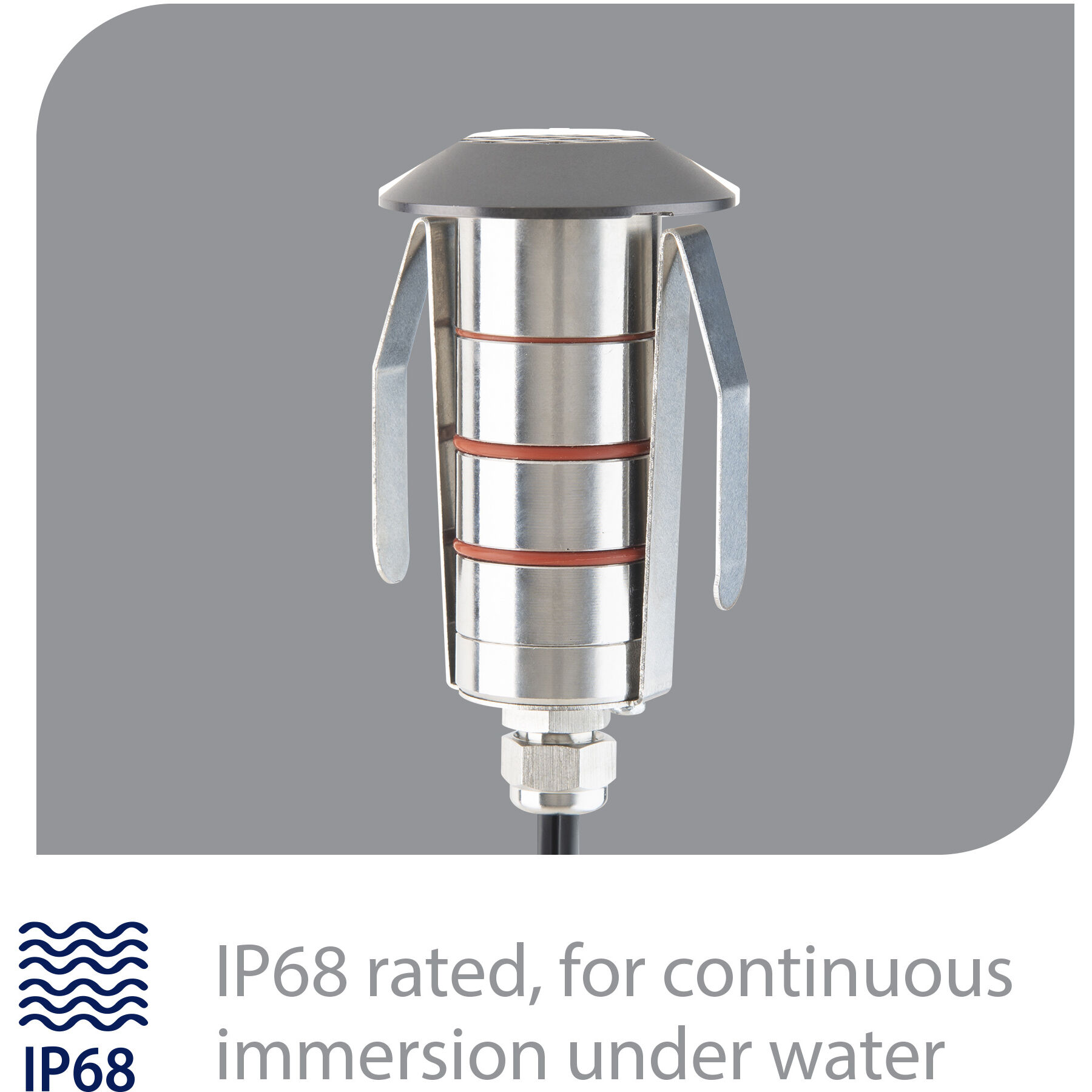 Tyler 12 2 watt Stainless Steel Coated in Bronze Path Lighting in 3000K, Bronzed Stainless Steel, WAC Landscape