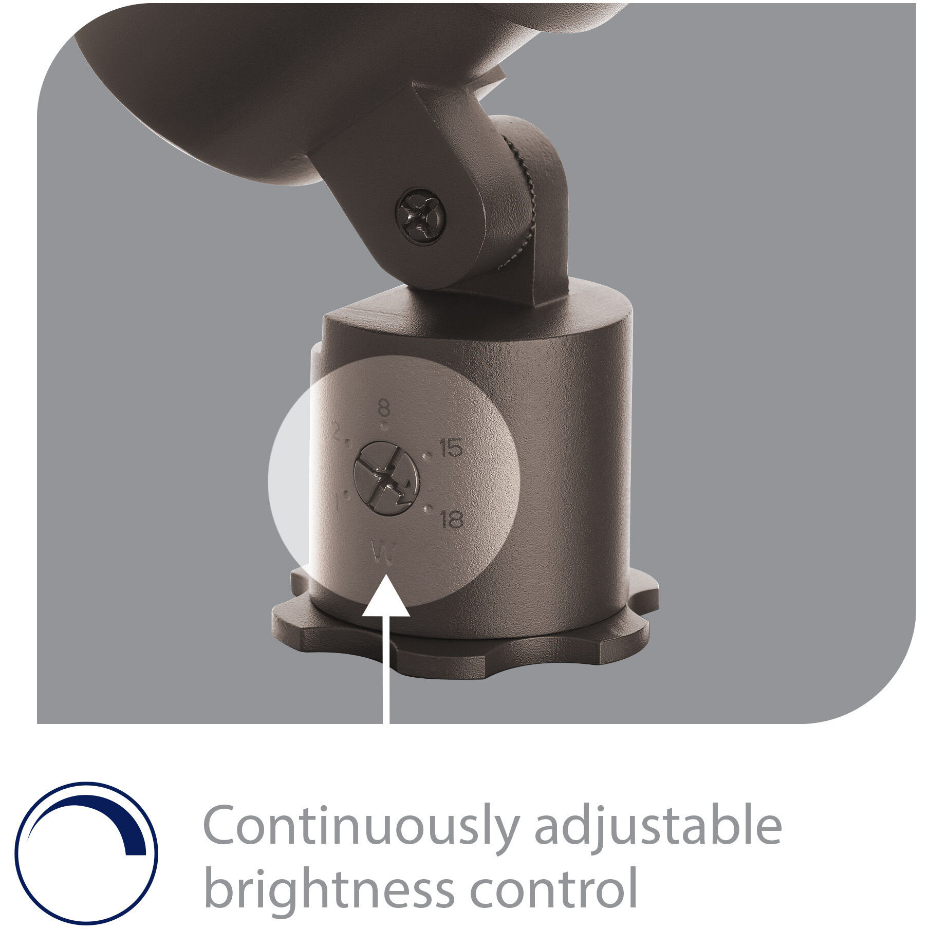 Tyler Solid Brass Coated in Bronze 18 watt LED Spot and Flood Lighting in 4000K, Bronzed Brass, Low Voltage Accent Light, WAC Landscape