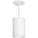 Tube Arch LED 5 inch White Outdoor Pendant in Flood, 85, 4000K