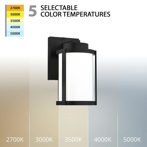 Lantern LED 10 inch Black Outdoor Wall Light