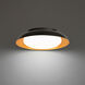 Taurus LED 17.88 inch Black Gold Flush Mount Ceiling Light, dweLED