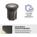 WAC 12V Grand Inground Light 120 24 watt Solid Brass Coated in Bronze Path Lighting, WAC Landscape