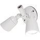 Endurance LED 12.5 inch White Outdoor Wall Lighting in 5000K, WAC Limited
