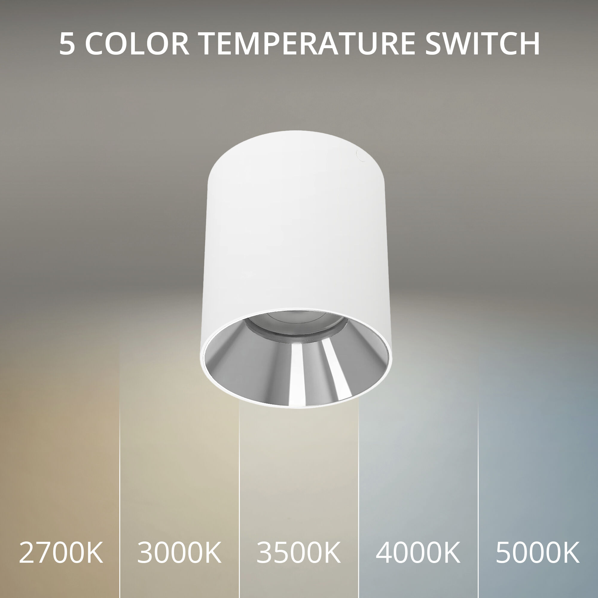 Zoron LED 3.63 inch White and Chrome Outdoor Ceiling Lighting in White/Chrome