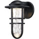 Steampunk LED 12.75 inch Black Outdoor Wall Light, dweLED