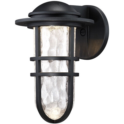 Steampunk LED 12.75 inch Black Outdoor Wall Light, dweLED