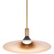 Cochere 1 Light 18 inch Black/Gold/Aged Brass Pendant Ceiling Light, dweLED