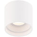 Downtown LED 5 inch White Flush Mount Ceiling Light in 4000K, dweLED