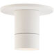 Twist-N-Lite LED 5 inch White Flush Mount Ceiling Light, WAC Limited