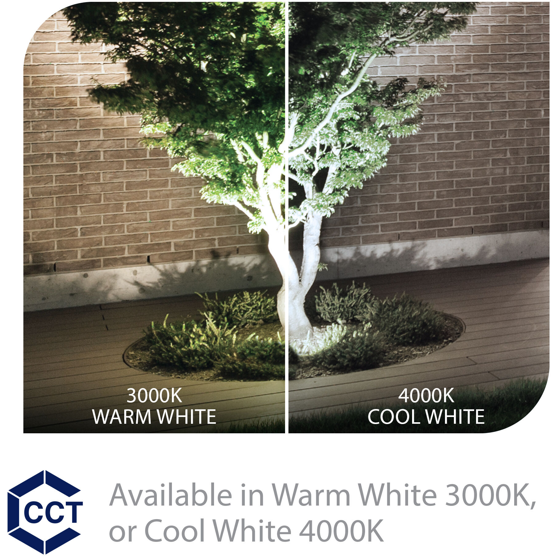 Tyler Bronze 31.00 watt LED Spot and Flood Lighting in 3000K, WAC Landscape