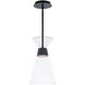 Chandra 1 Light 7.88 inch Black Mini Pendant Ceiling Light, dweLED