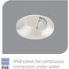 Surface Mounted Indicator Light 12 2.8 watt Stainless Steel Path Indicator Light in 3000K Warm White LED, WAC Landscape