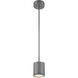 Tube LED 5 inch Graphite Mini Pendant Ceiling Light